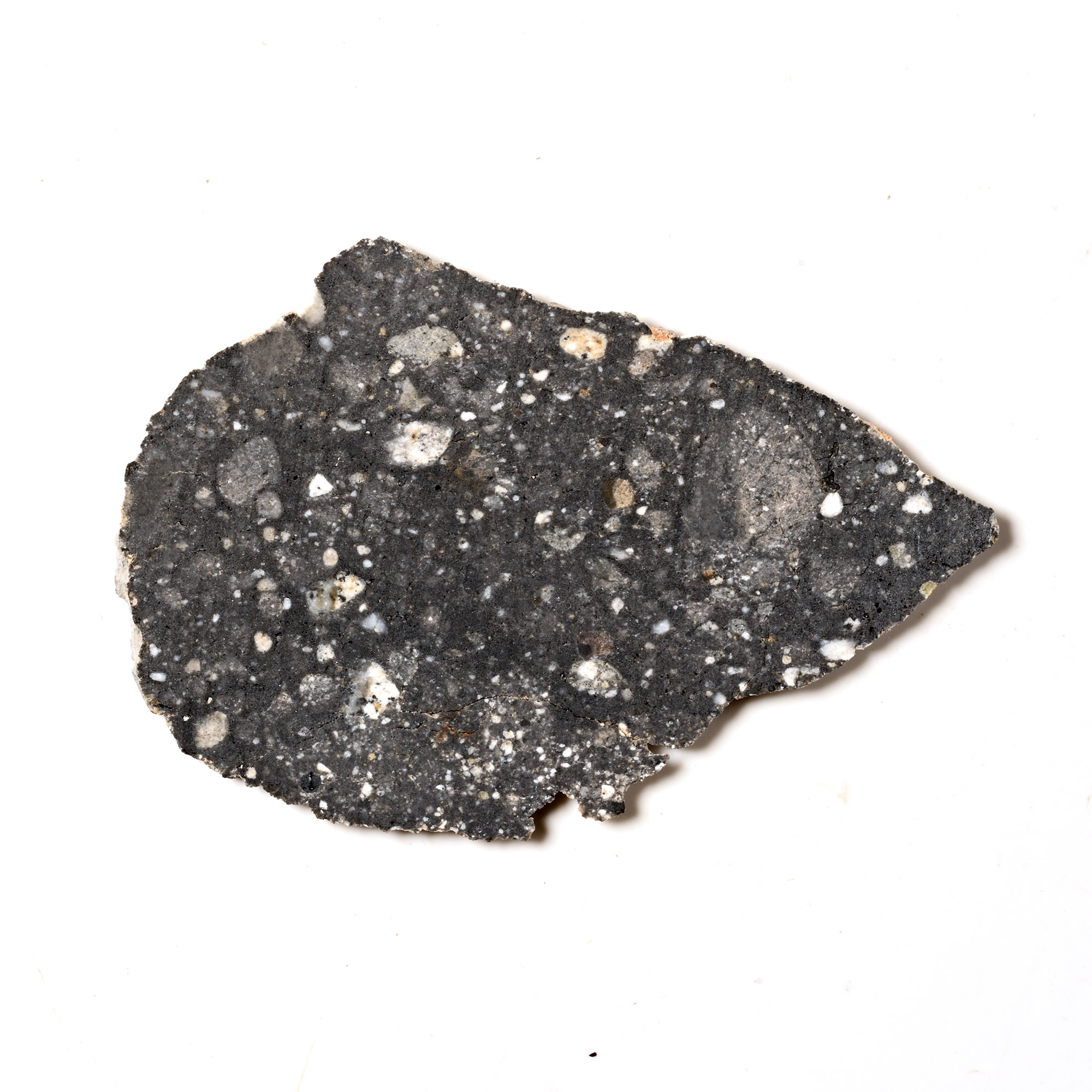 Natural History - Lunar NWA 10133 Meteorite Slice